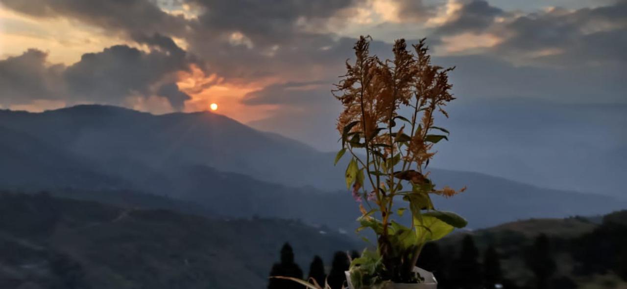 Valley View Homestay Dardzsiling Kültér fotó